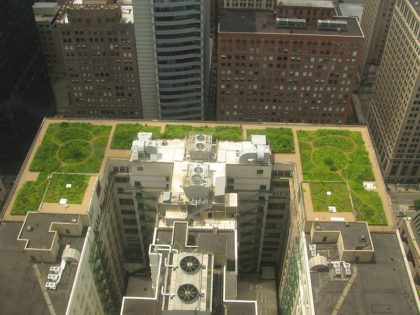 Telhados são mais bem aproveitados para incluir verde nas construções